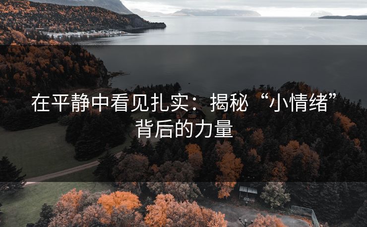 在平静中看见扎实:揭秘“小情绪”背后的力量 在平静中看见扎实:揭秘“小情绪”背后的力量